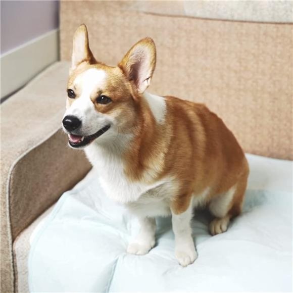 Washable Pee Pads for Dogs, 2 Pack Reusable Puppy Pads Waterproof Pad, 18" x 24" - Picture 3 of 6